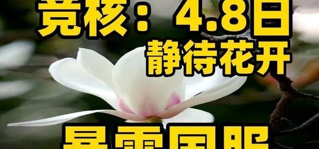暴雪国服回归：一场游戏界的期待与变革